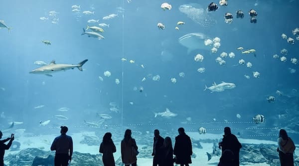 亚特兰大水族馆