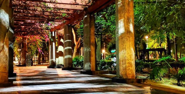 康德萨 CDMX
