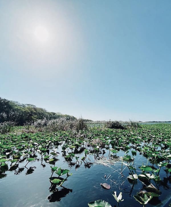 迈阿密沼泽地